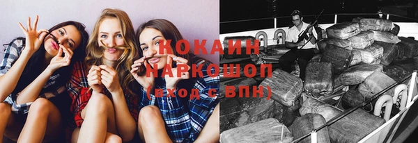 шишки Волоколамск